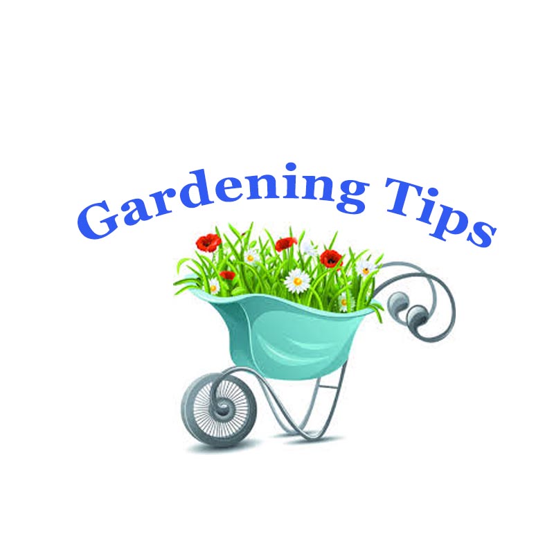 5 Tips For A Happy Gardener