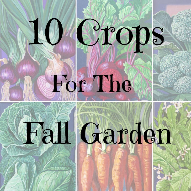 10 Crops For The Fall Garden