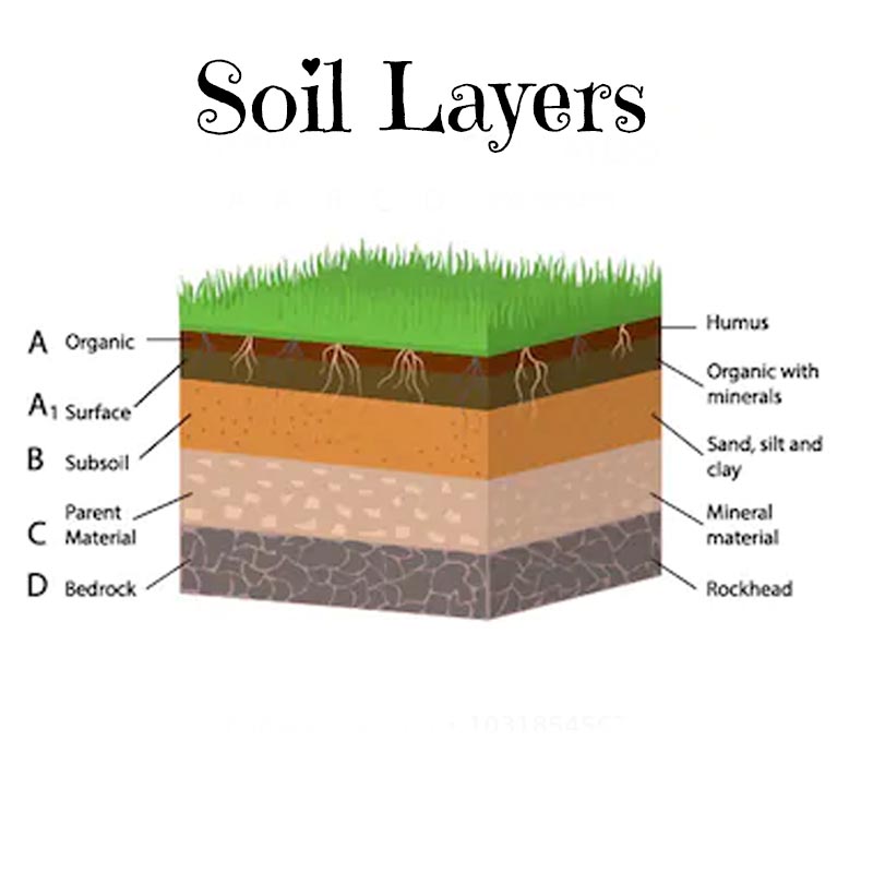 Do You Know Your Soil?
