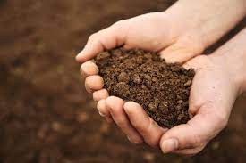How To Understand Your Soil